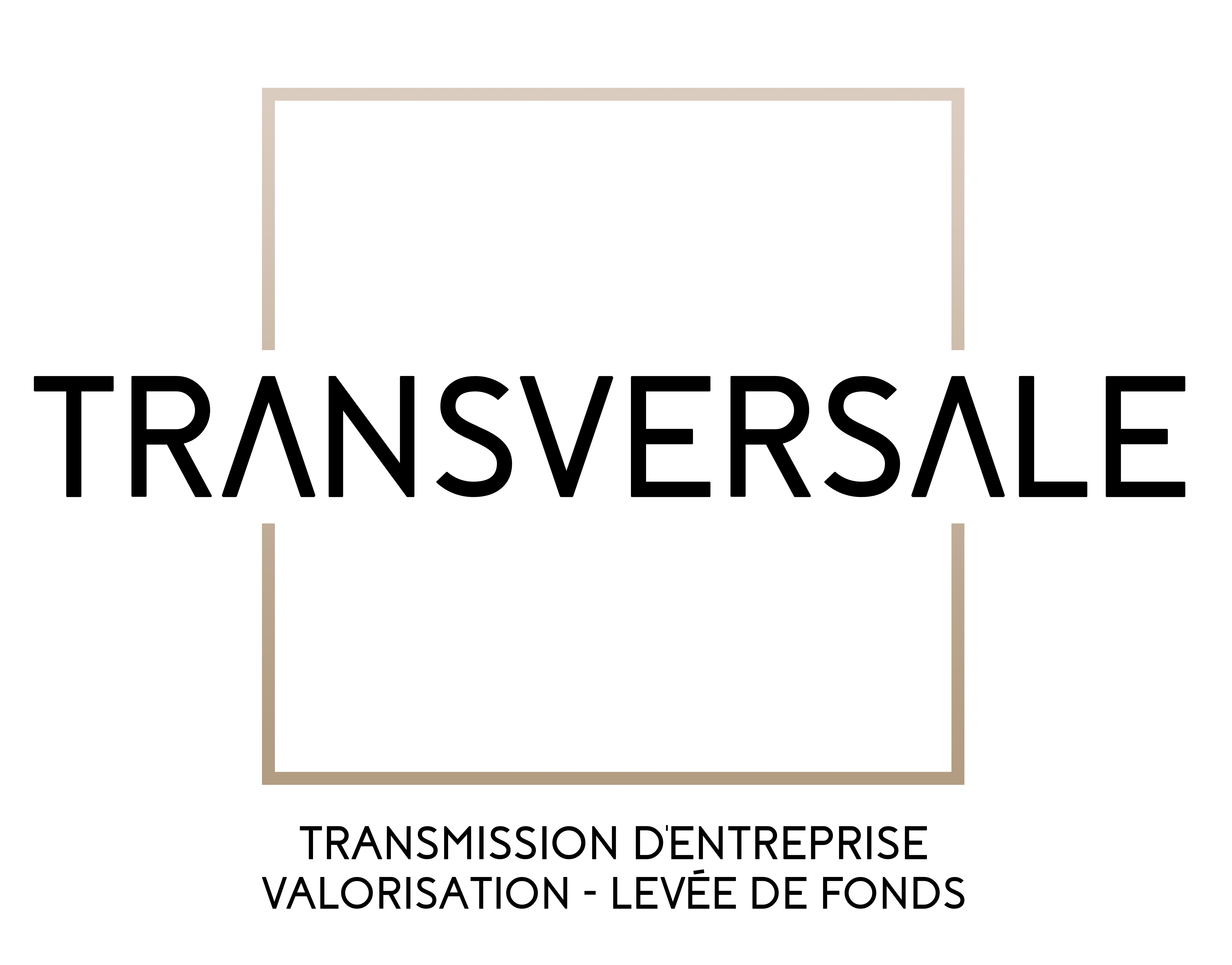 Logo TRANSERVSALE Conseil